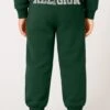 Kids RELIGION BOYS SEAMED DARTED SWEAT PANTS GREEN -Religion Clothing RGW01 RGP0111