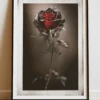 DIGITAL PRINT ROSE POLAROID ART POSTER 1 DIGITAL PRINT ROSE POLAROID ART POSTER -Religion Clothing RLG312