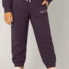 Kids RELIGION GIRLS LOGO SWEATPANTS MAUVE -Religion Clothing RUW01 RUP01 13