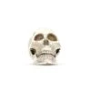 Accessories SKULL SMALL -Religion Clothing Sequence 12.01 27 47 24.Still010