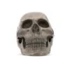 Accessories SKULL LARGE 1 Accessories SKULL LARGE -Religion Clothing Sequence 12.01 28 21 11.Still015